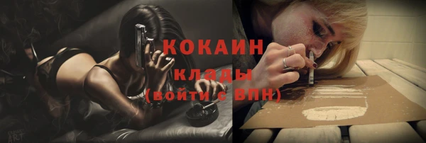 PSILOCYBIN Арсеньев