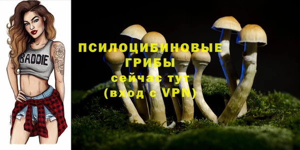 PSILOCYBIN Арсеньев