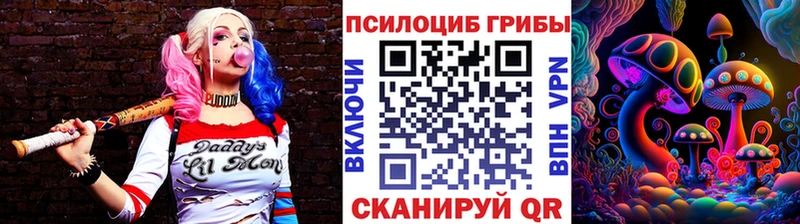 mega онион Невинномысск Псилоцибиновые грибы GOLDEN TEACHER