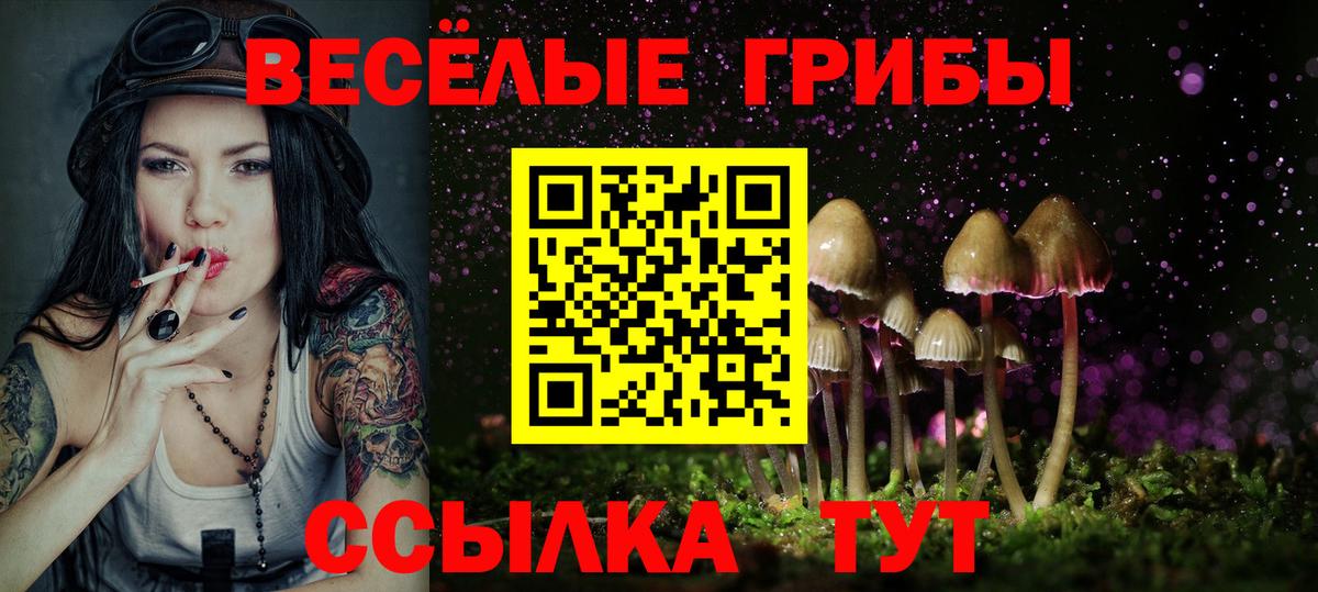 Галлюциногенные грибы мицелий  Вход с VPN  Невинномысск 