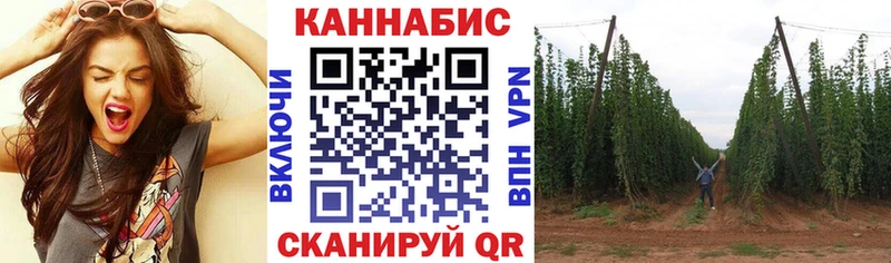 где найти наркотики  Невинномысск  Конопля планчик 